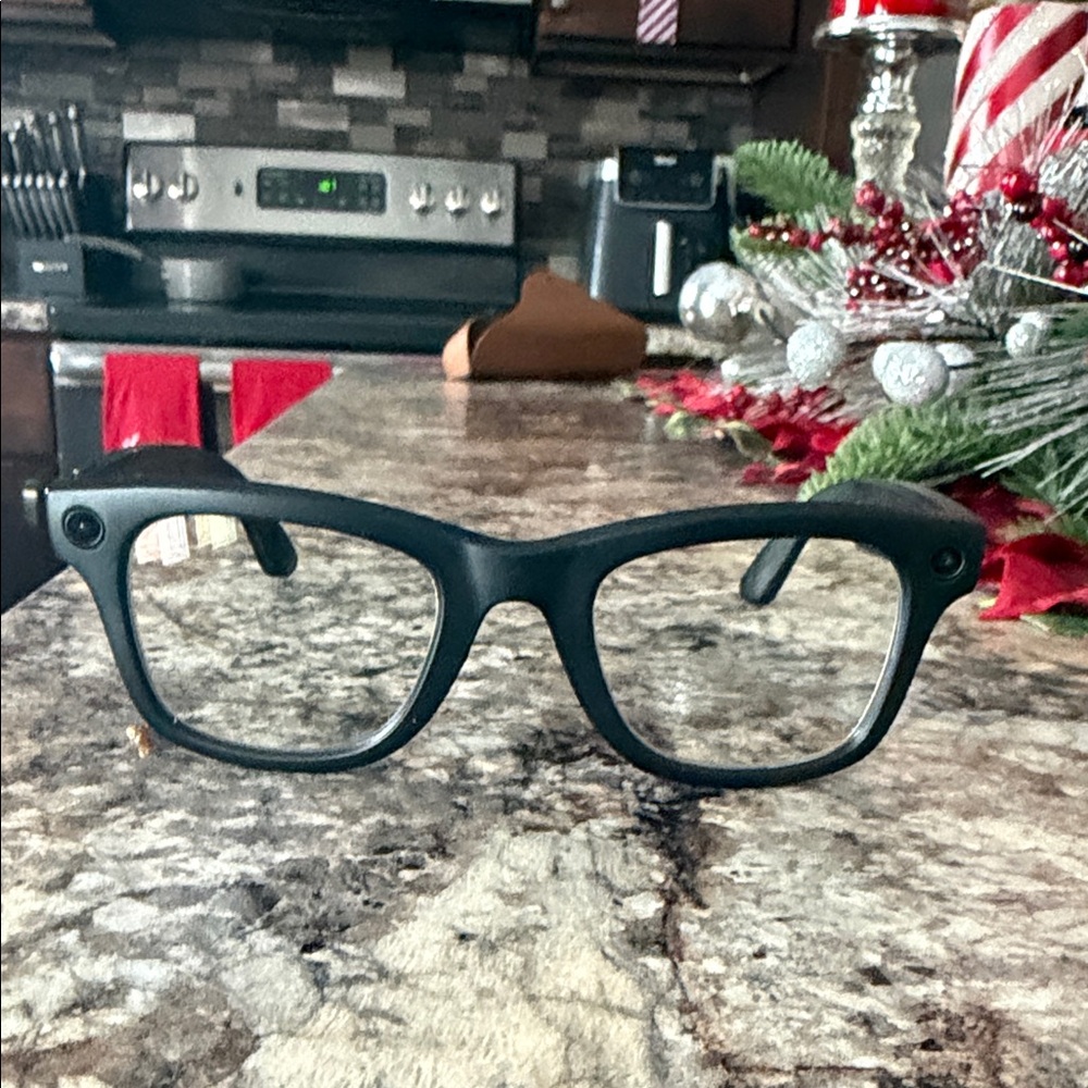 Ray-Ban Matte Black Glasses